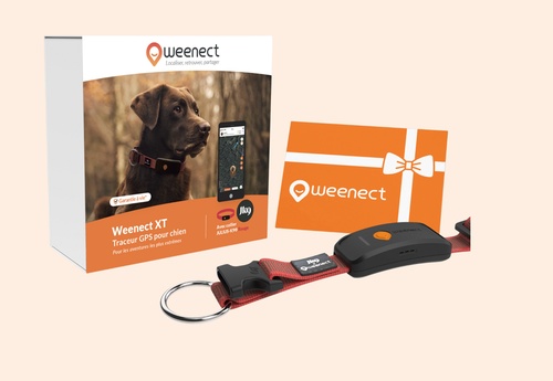 Weenect XT Pack | GPS dog collar | With Julius-K9 Red Collar | 1 year subscription included