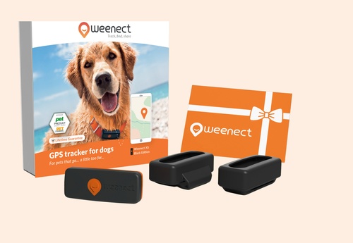 Weenect XS Pack | GPS dog tracker - Black | 1 year subscription included