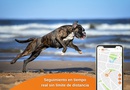 PT03 dogs es NEW APP