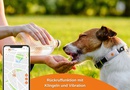 PT04 dogs de NEW APP