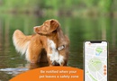 PT05 dogs en NEW APP