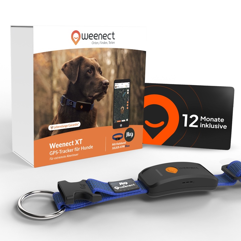 Pack XT DE Bleu