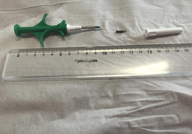 Puce d’identification avec la seringue d’injection