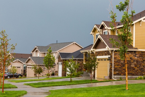 Retrouver-animal-perdu-11