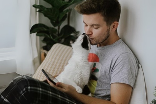 Retrouver-animal-perdu-14