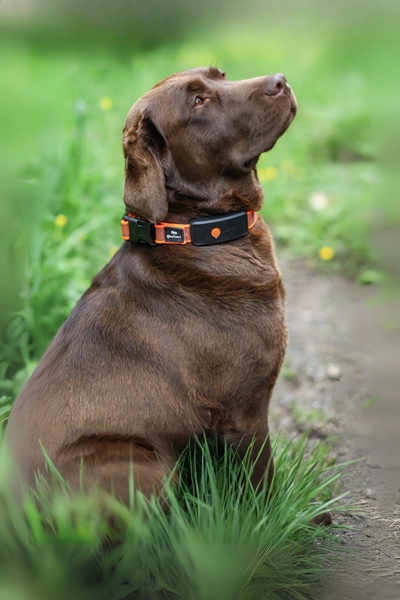 Slider-mobile-new.chien