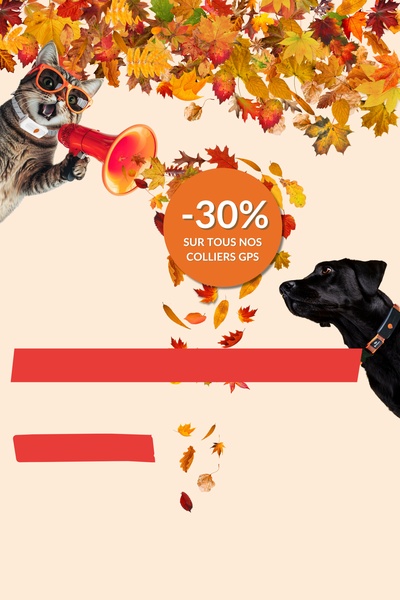 Slider-mobile-new oct