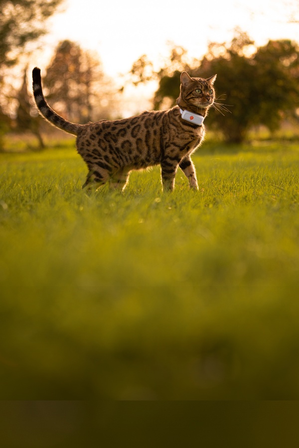 Slider mobile new DA - CAT