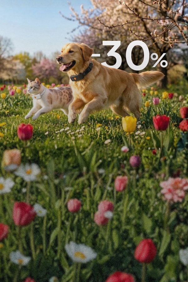 Slider vertical temps forts