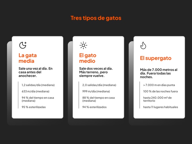 Tres tipos de gatos