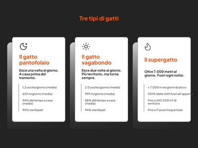 Tre tipi di gatti