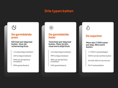 Drie typen katten