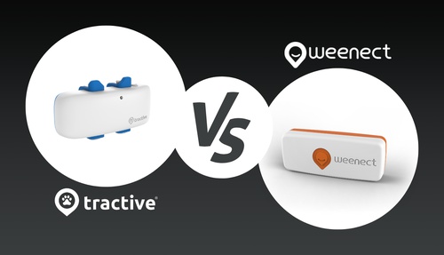 Comparison - GPS for dogs and cats - Weenect vs Tractive