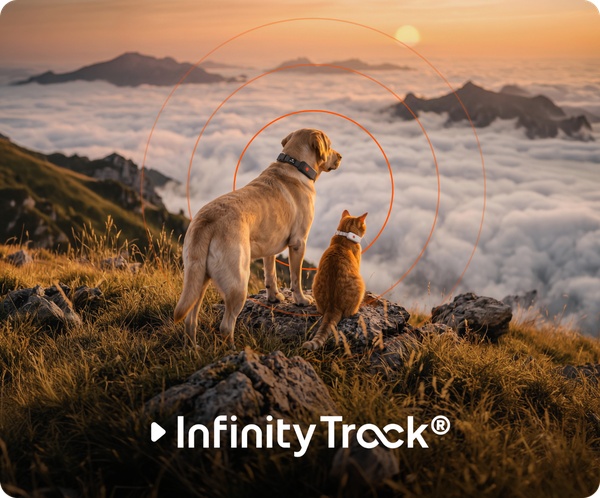 Visuel IA Homepage - InfinityTrack