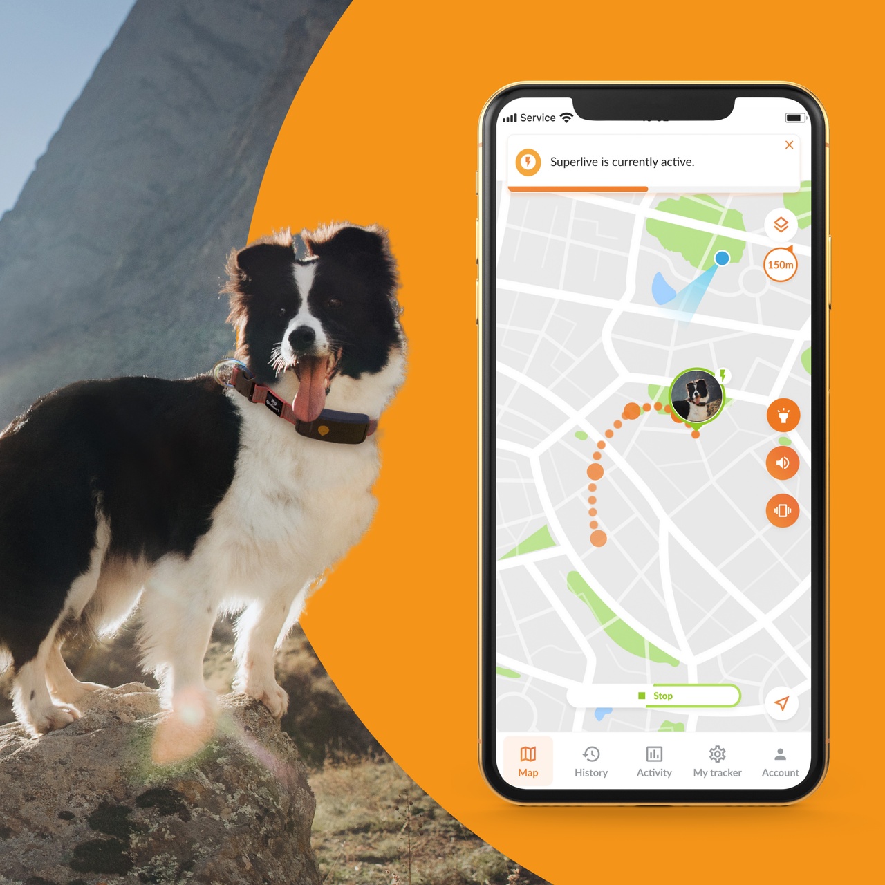 Collier GPS Pour Chien Weenect XT N 1 Sur Trustpilot