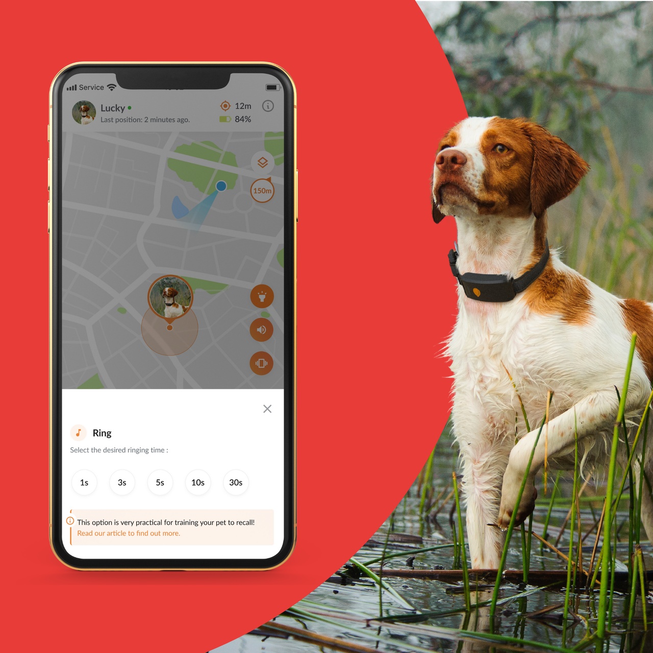 GPS F r Hunde Weenect Die Nr 1 Der GPS Tracker Auf Trustpilot