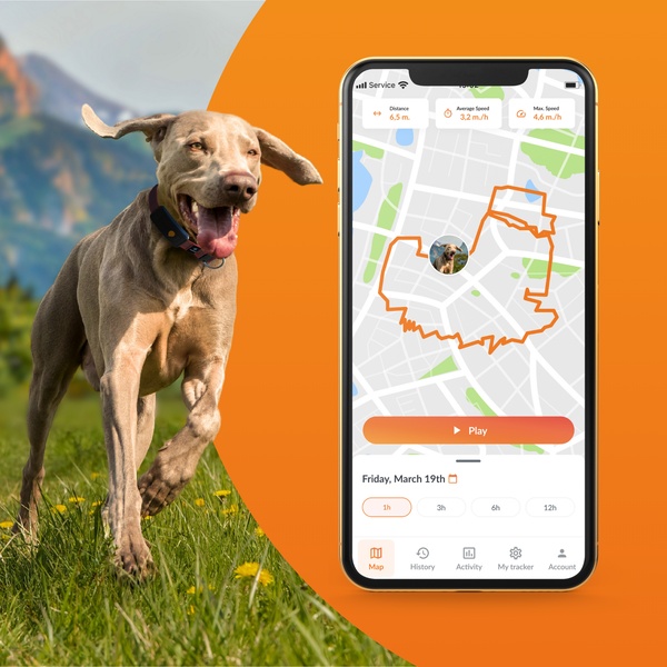 Weenect-XT-ProductPage-Fonctionnalite-ActivityTracking