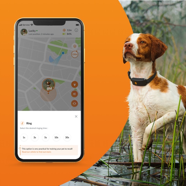 Weenect-XT-ProductPage-Fonctionnalite-EducationRappel