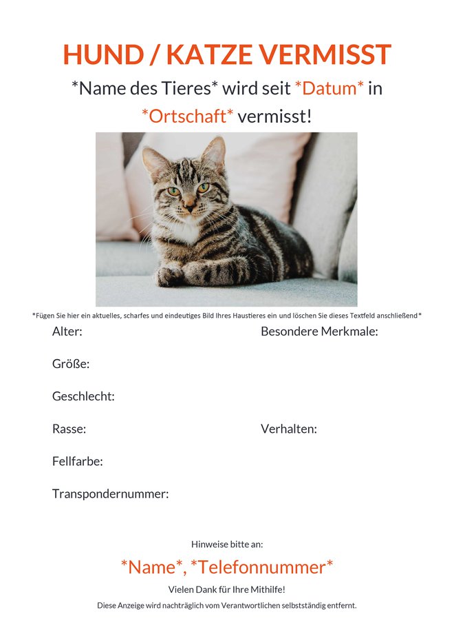 Wie Eine Vorlage Fur Vermisste Katzen Und Hunde Erstellen