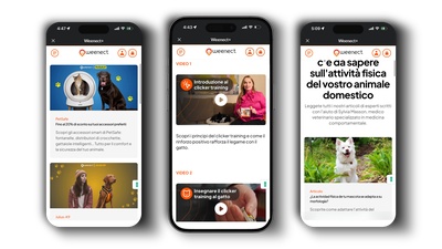 Weenect+ Overview IT