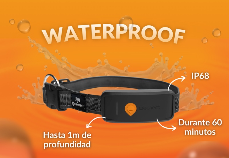 Weenect XT Black ES 5