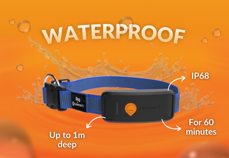 Weenect XT Blue EN 5