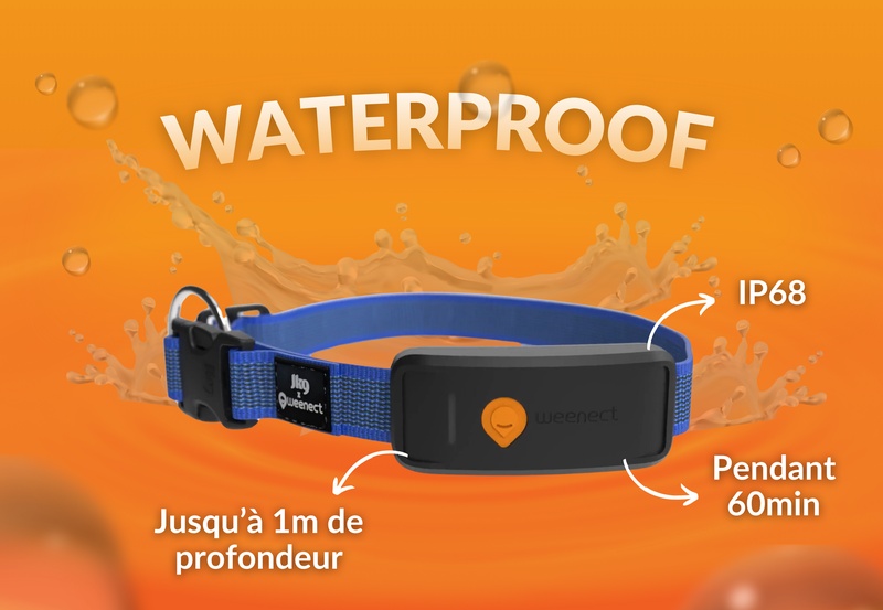 Weenect XT Blue FR 5