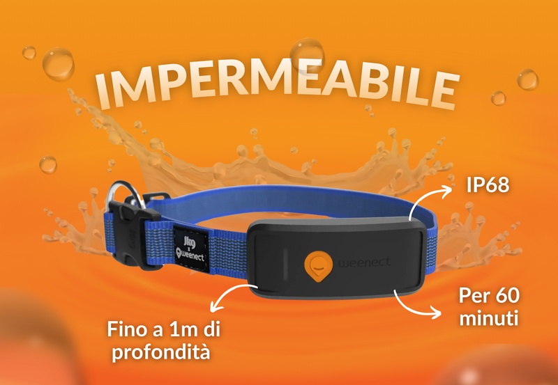 Weenect XT Blue IT 5