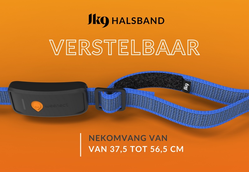Weenect XT Blue NL 2