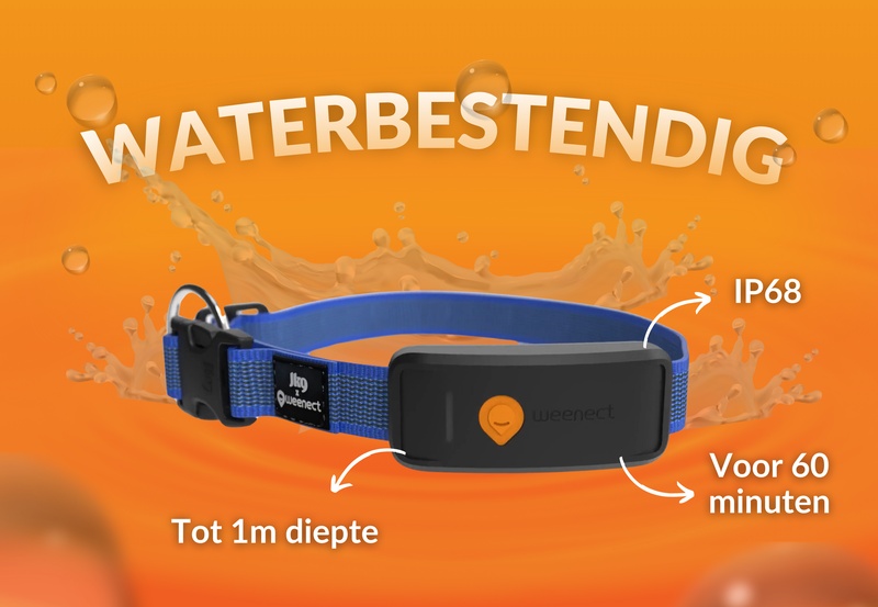 Weenect XT Blue NL 5