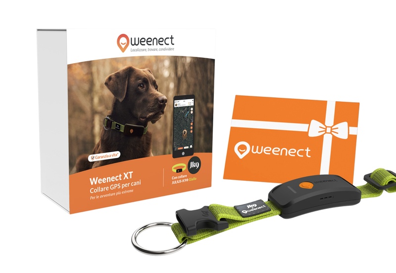 Weenect XT Bundle Jaune IT