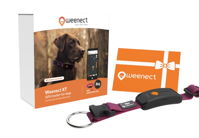 Weenect XT Bundle Rose UK