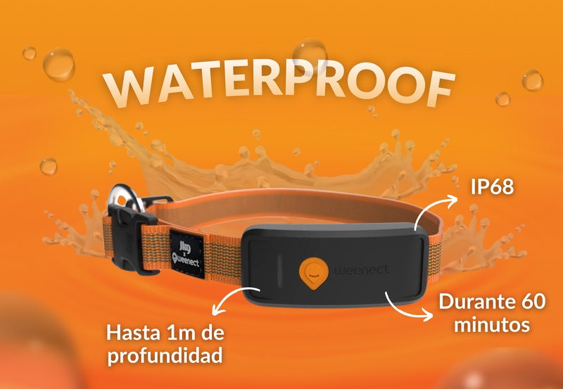 Weenect XT Orange ES 5