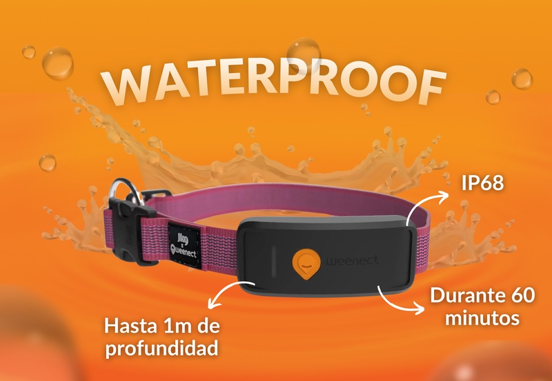 Weenect XT Pink ES 5
