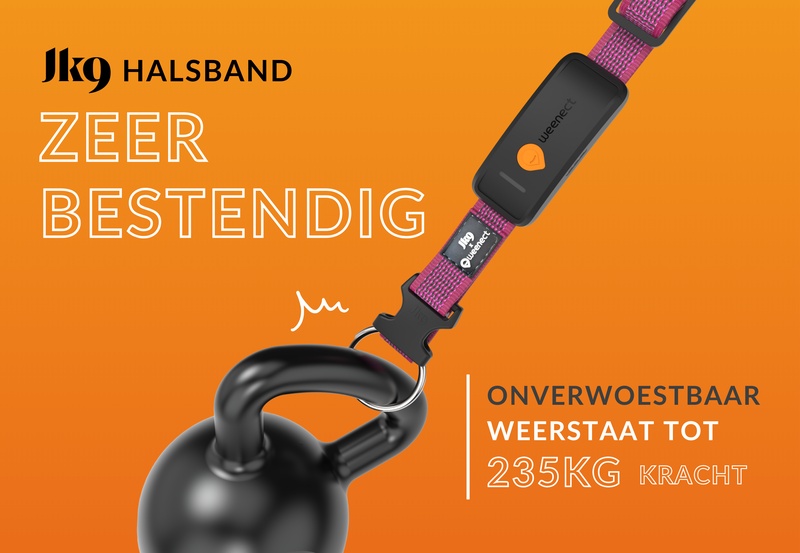 Weenect XT Pink NL 1