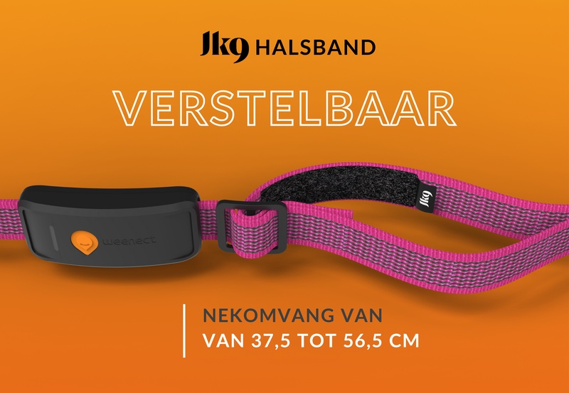 Weenect XT Pink NL 2
