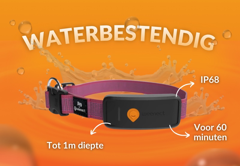 Weenect XT Pink NL 5
