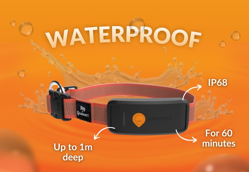 Weenect XT Red EN 5