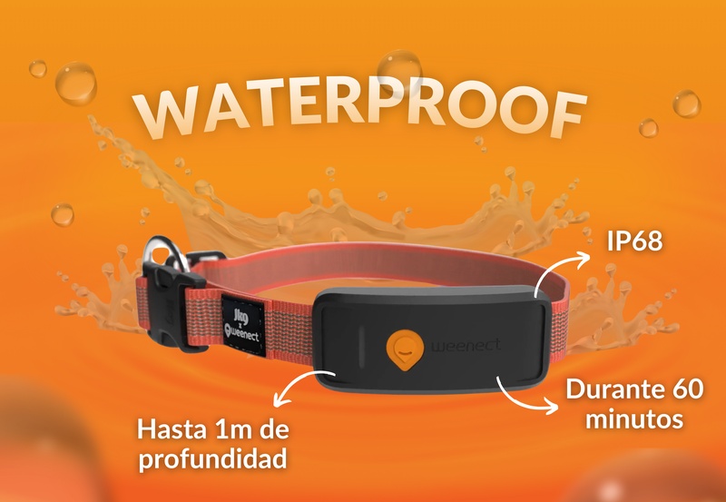 Weenect XT Red ES 5