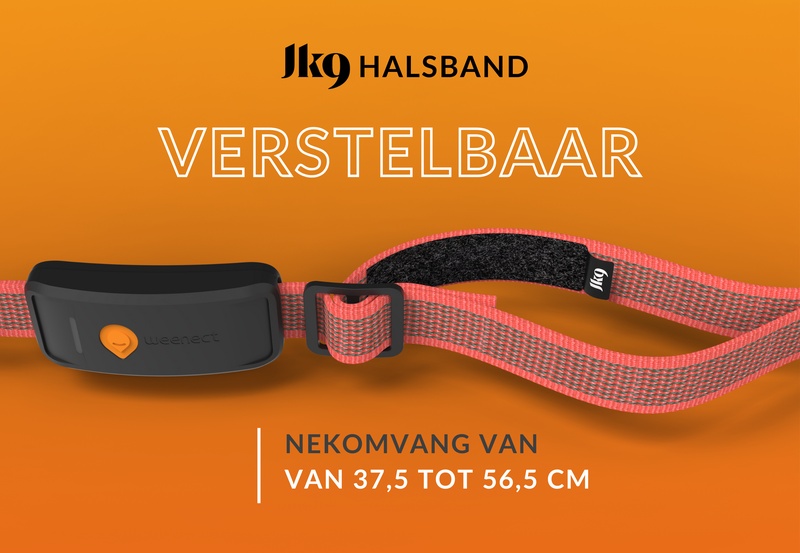 Weenect XT Red NL 2