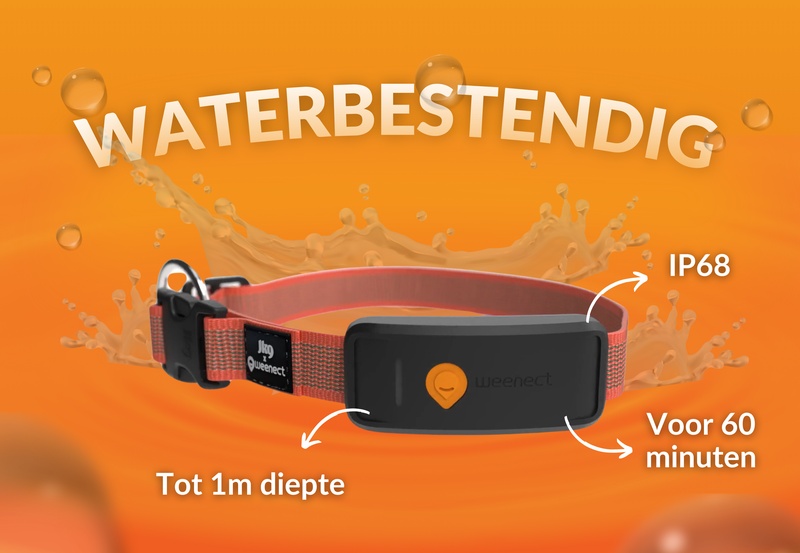 Weenect XT Red NL 5
