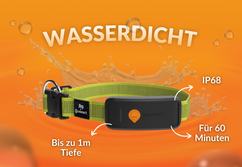 Weenect XT Yellow DE 5
