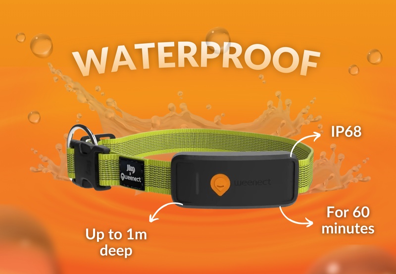 Weenect XT Yellow EN 5