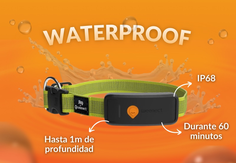 Weenect XT Yellow ES 5
