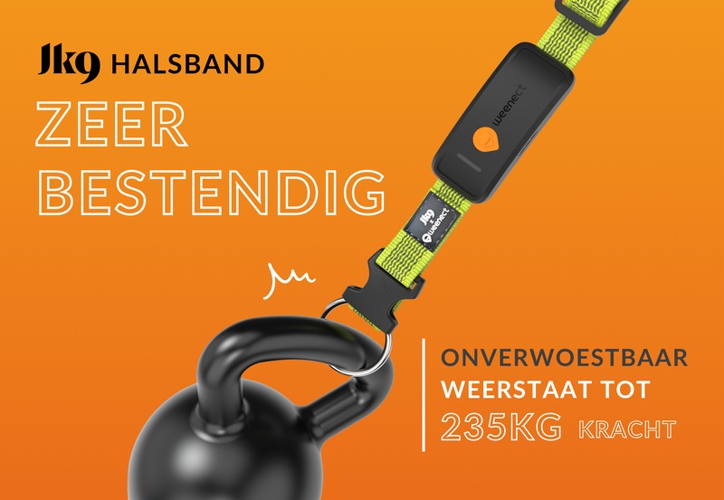 Weenect XT Yellow NL 1