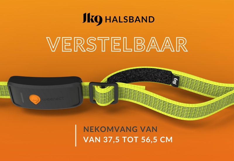 Weenect XT Yellow NL 2