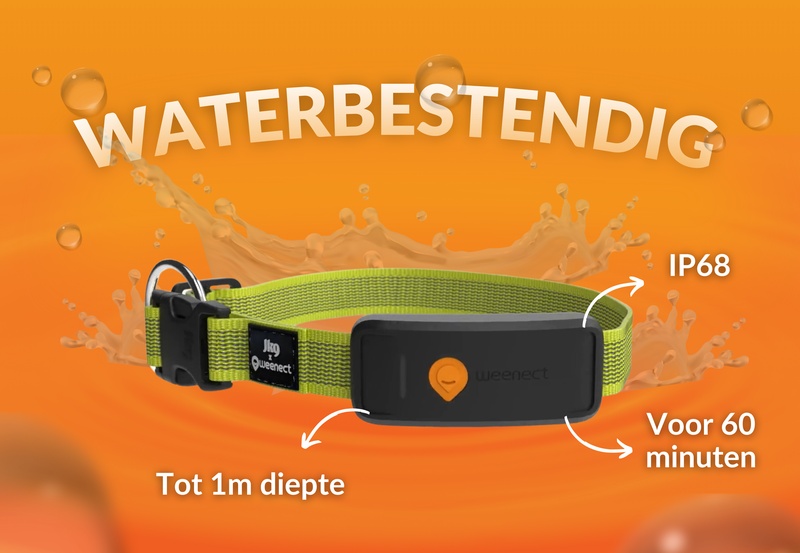 Weenect XT Yellow NL 5