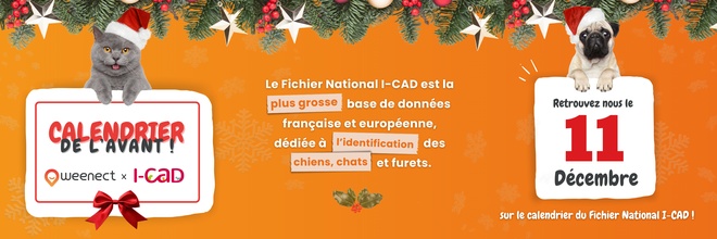 Weenect x ICAD Advent Calendar V2