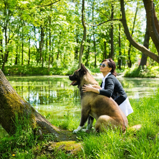 an american akita in front of a pond with his owner