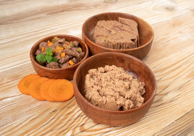 Un chat tatoué dans l’oreille droite